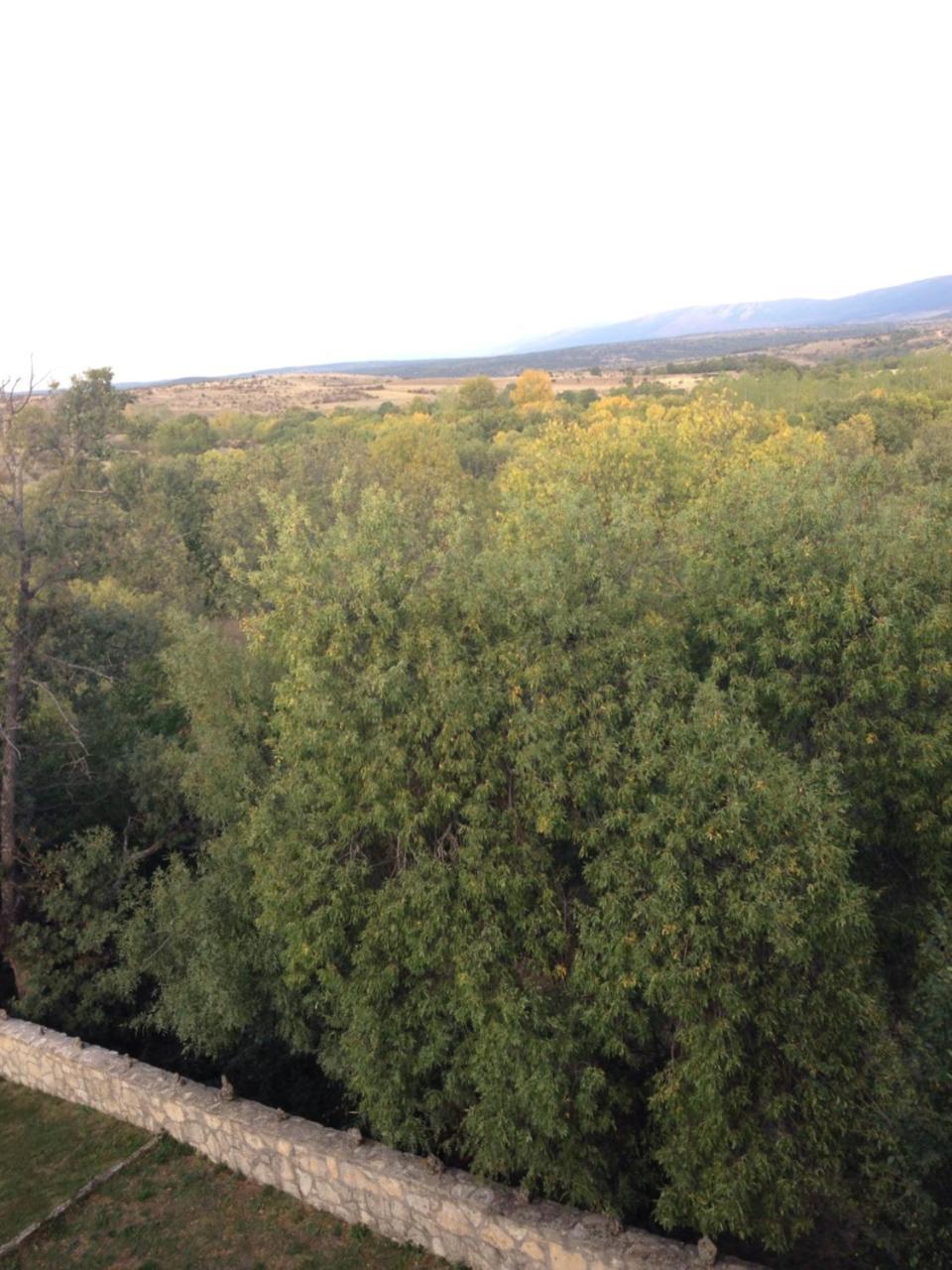 Apartamento Rural La Muralla De Pedraza Chavida Dış mekan fotoğraf